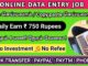 Online data entry job review